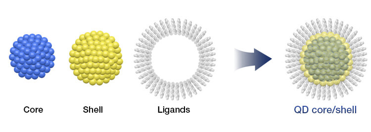 厦门玻尔科技有限公司官网—中国量子点材料和技术供应商
